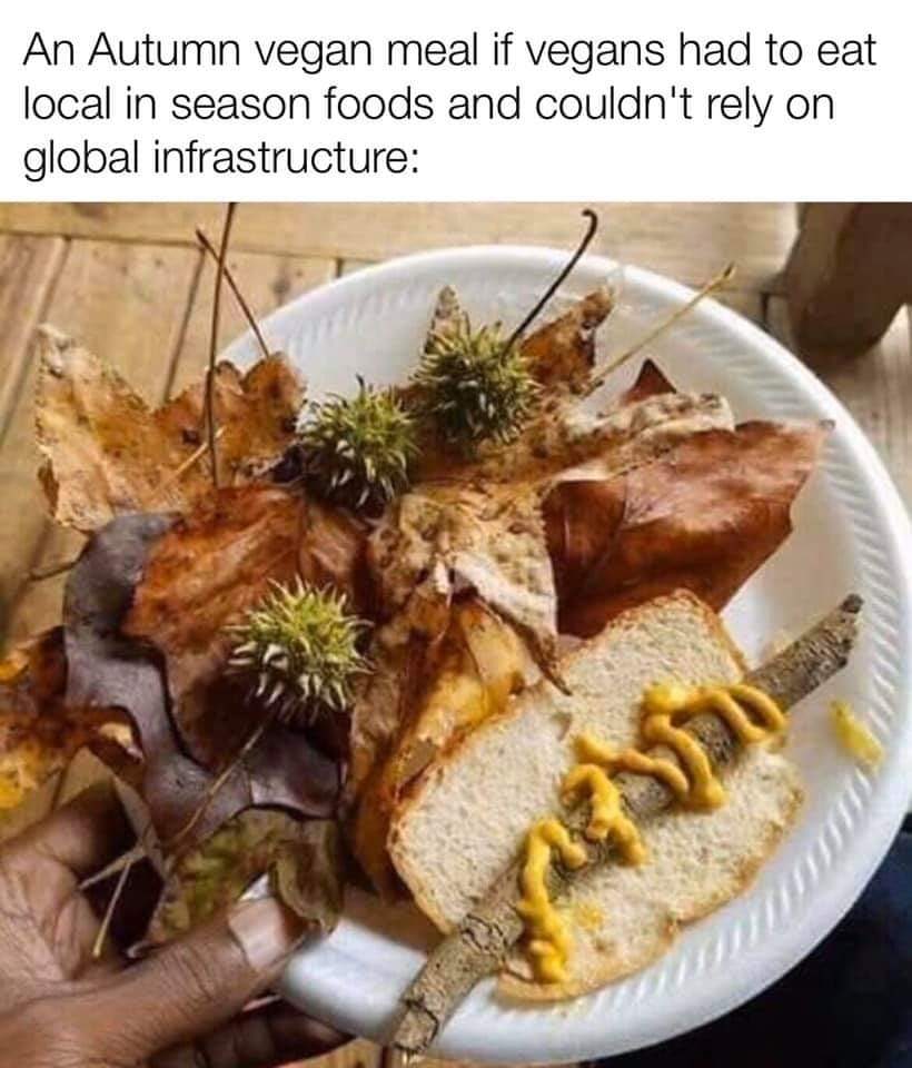 An autumn meal